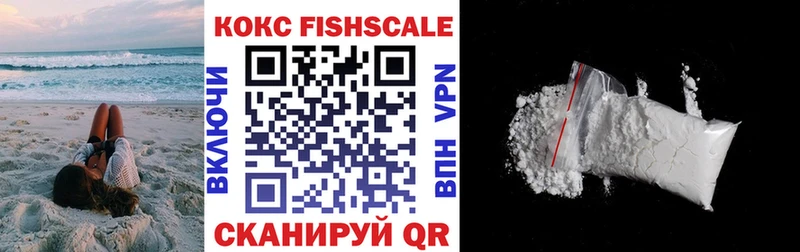 Cocaine Fish Scale  где купить наркотик  Ессентуки 