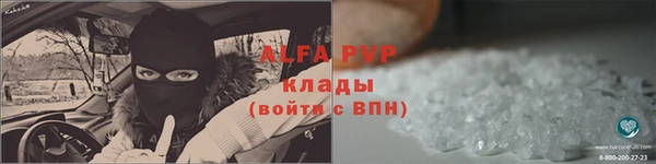 гашик Верея