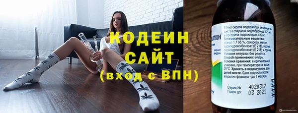 гашик Верея